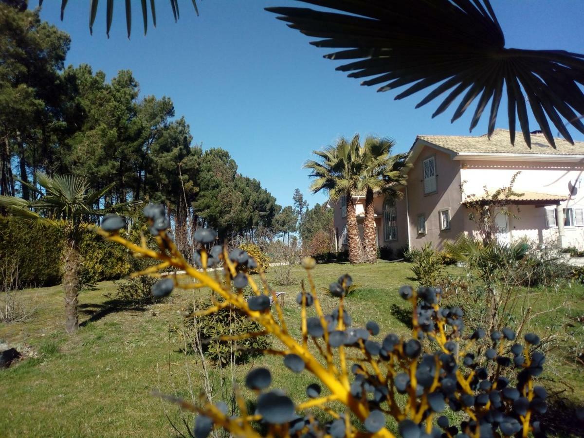 Casa Do Soito Hotell Mangualde Exteriör bild